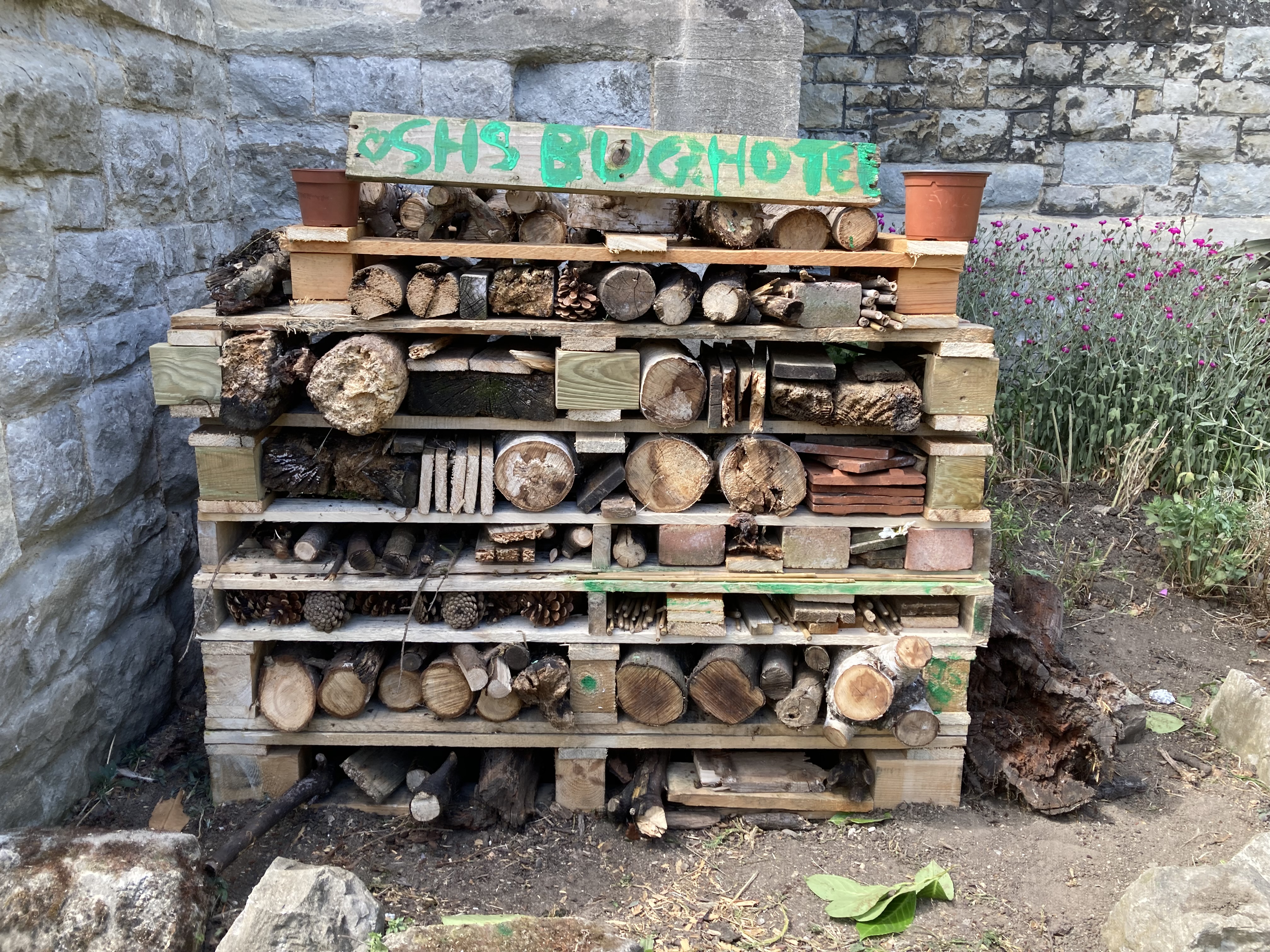 bug hotel